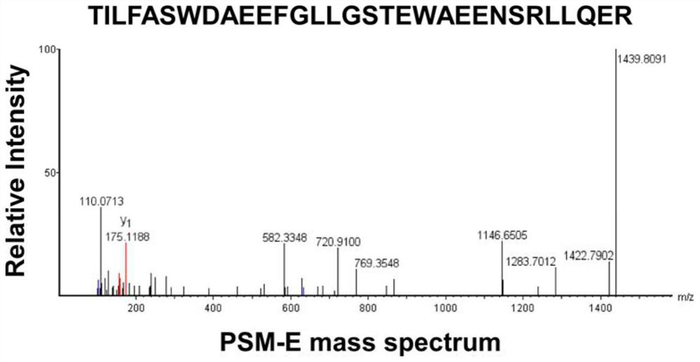 Application of mass spectrum technology to detection of molecular level of PSM-E in urine in preparation of product for early diagnosis of prostate cancer