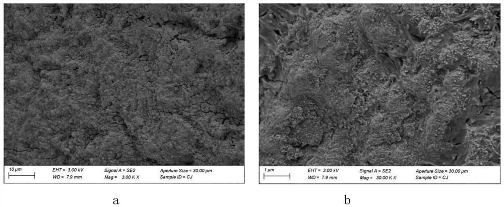 A long-life dsa electrode preparation method that can be used for frequent inversion of cathode and anode