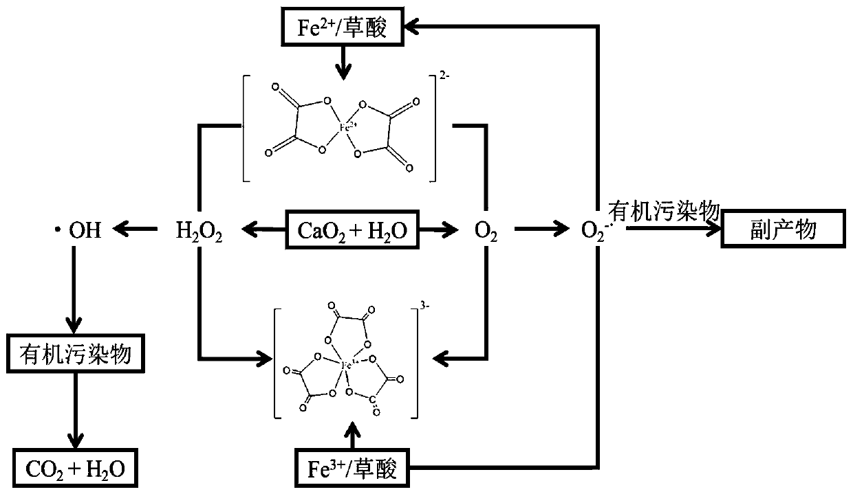 Method for treating organic waste water by iron complexing Fenton reaction