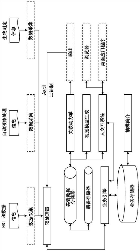 System and method for determining deamidation and immunogenicity of polypeptides