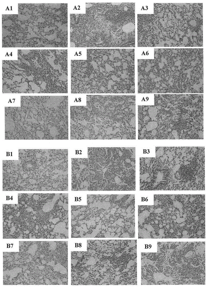 Application of an alkaloid in the preparation of a pharmaceutical composition for preventing or treating pulmonary fibrosis