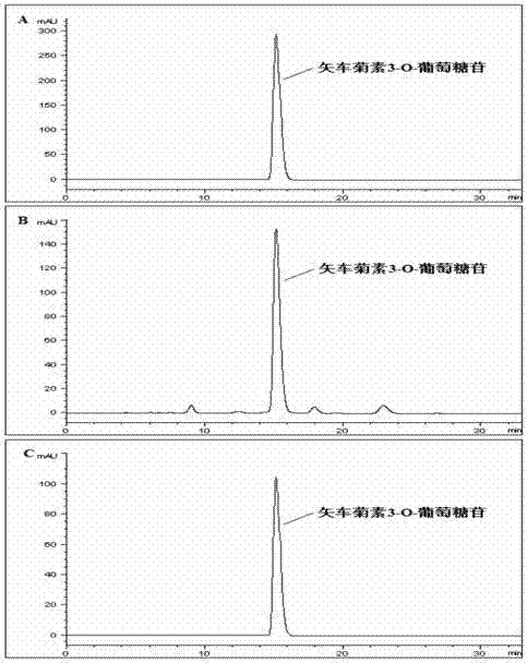 Method for fast efficiently extracting and purifying anthocyanin from lonicera caerulea