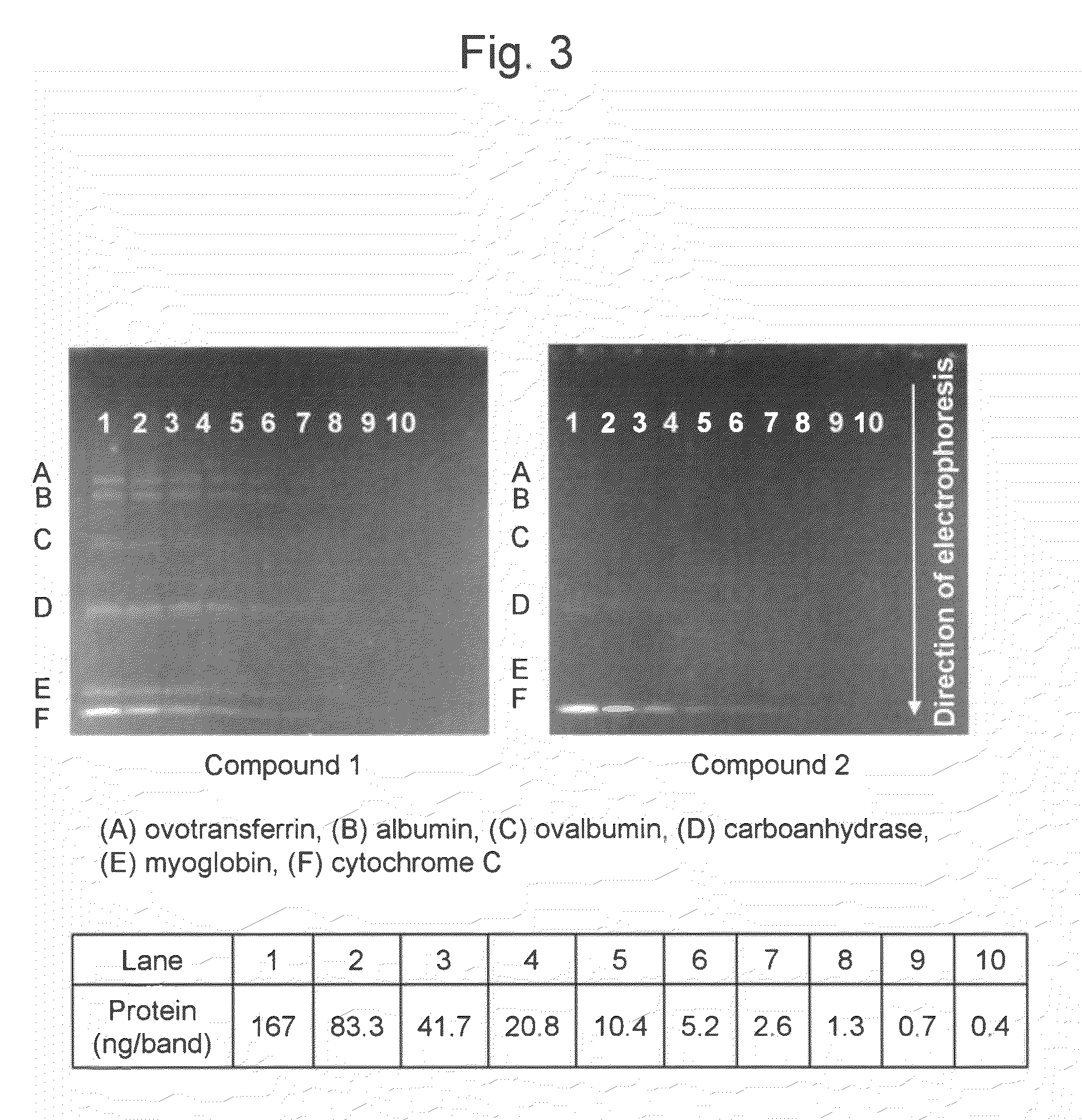 Method and reagent for protein analysis