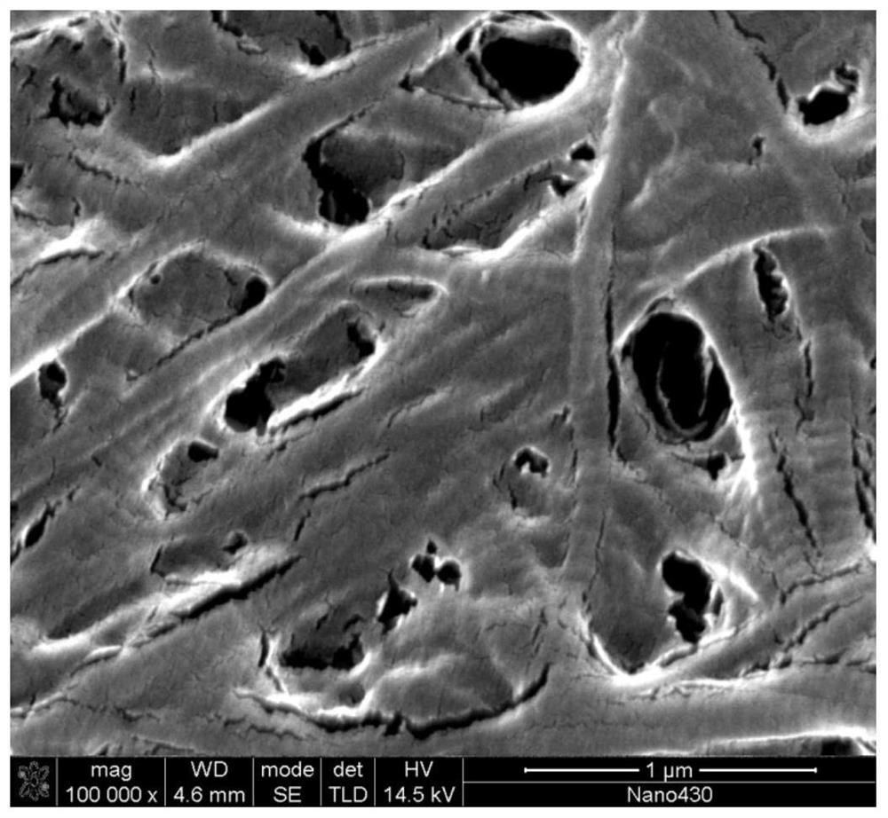 Bionic collagen membrane coated sheet and preparation method thereof