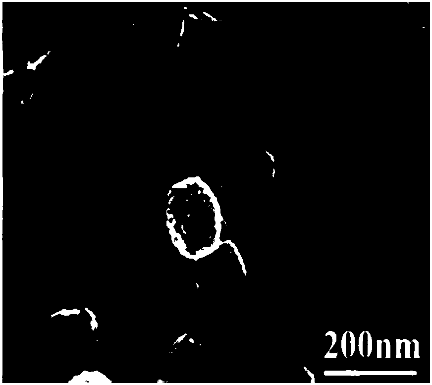 Label-free zearalenone photoelectrochemistry detection method and sensor based on TiO2 mesocrystal