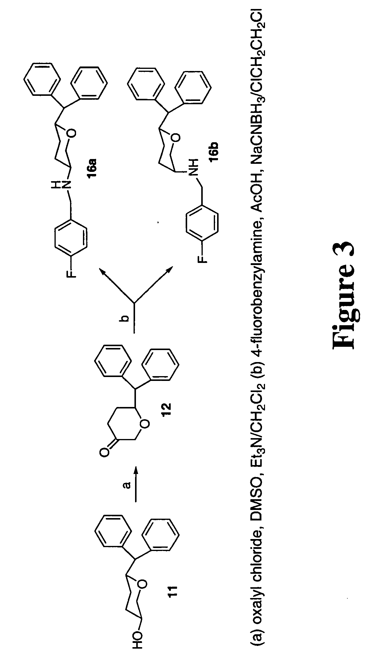 Tri-substituted 2-benzhydryl-5-benzlamino-tetrahydro-pyran-4-ol and 6-benzhydryl-4-benzylamino-tetrahydro-pyran-3-ol analogues, and novel 3,6-disubstituted pyran derivatives