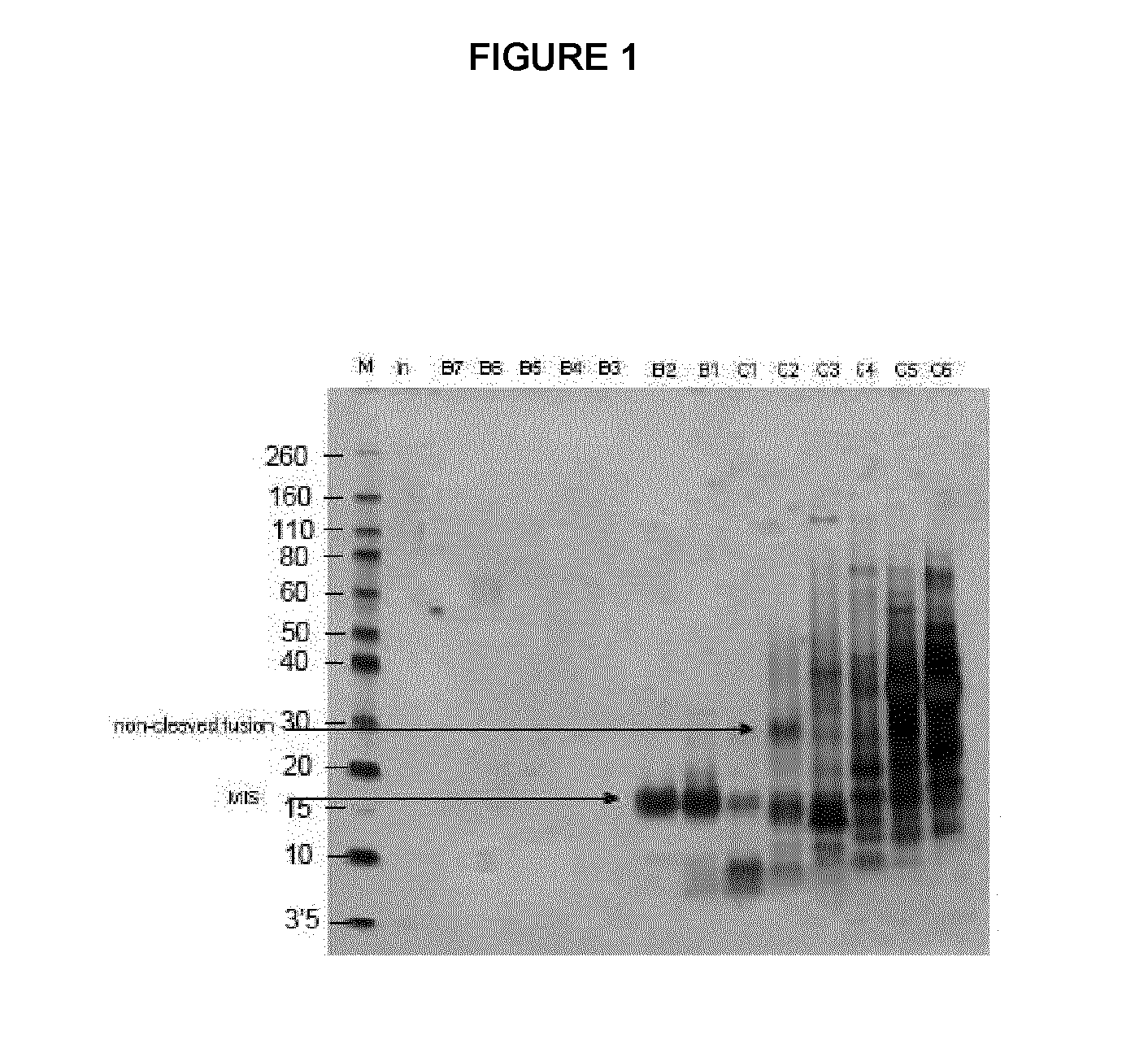 Method for producing mullerian inhibitor substance in plants
