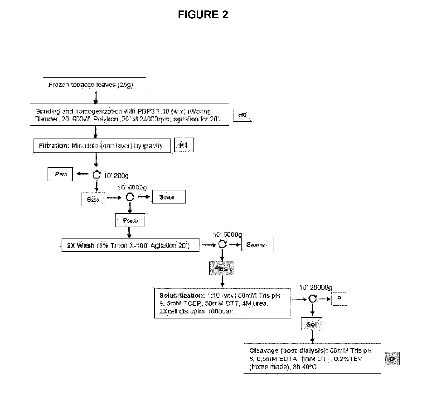 Method for producing mullerian inhibitor substance in plants