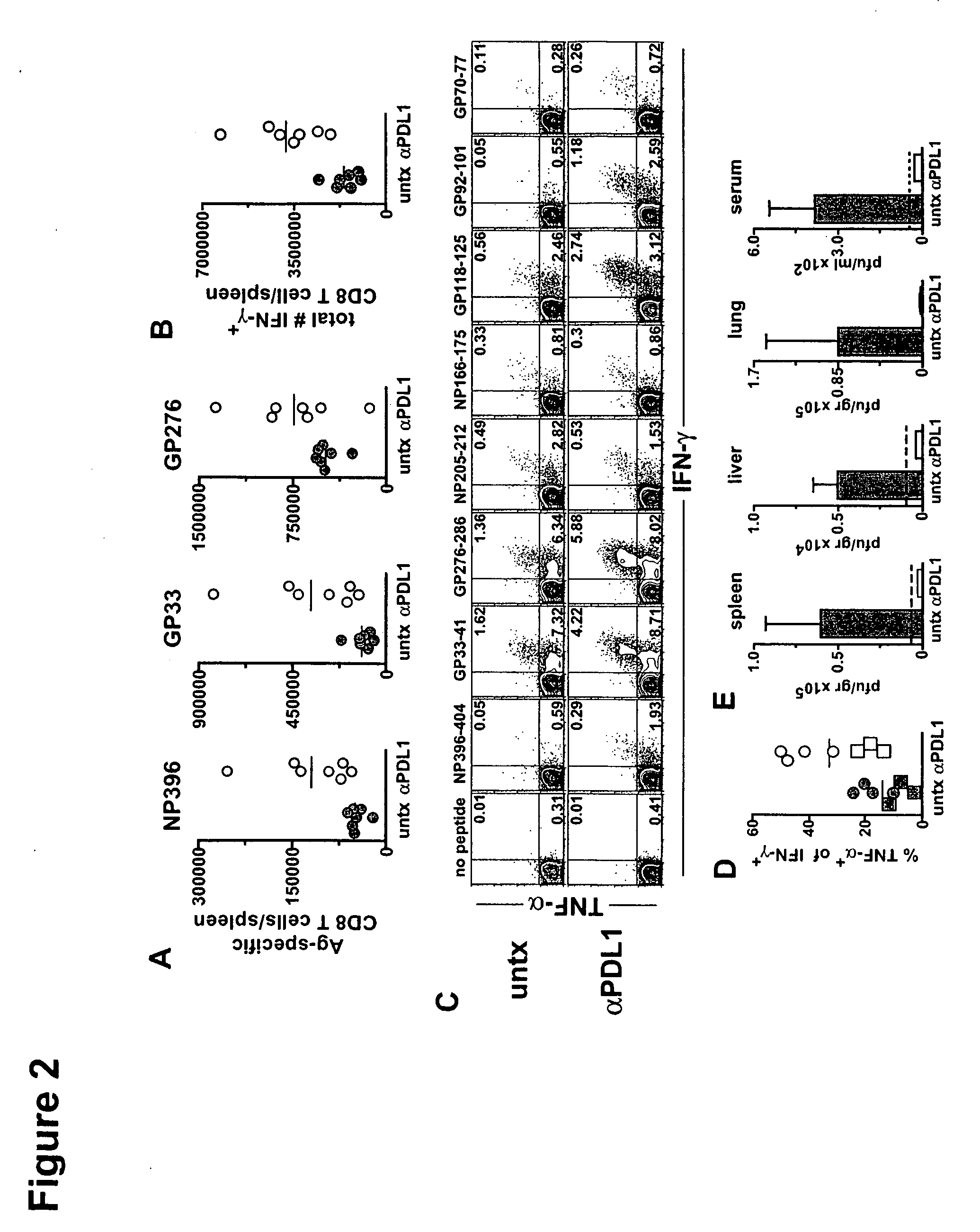 Methods and compositions for the treatment of persistent infections