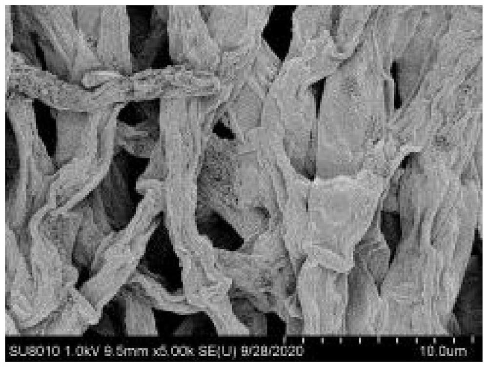 Phosphorus-solubilizing fungus, fungicide and application thereof