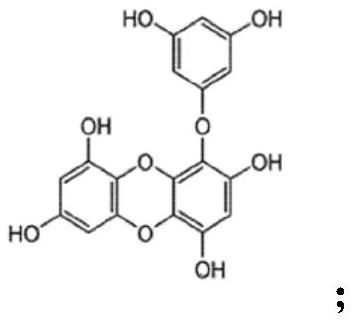 Composition for improving flavor of food, containing phlorotannin as active ingredient