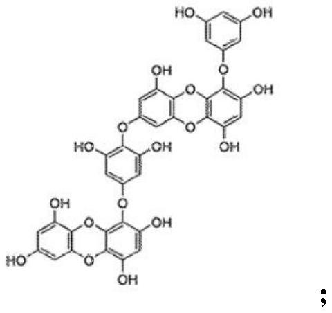 Composition for improving flavor of food, containing phlorotannin as active ingredient