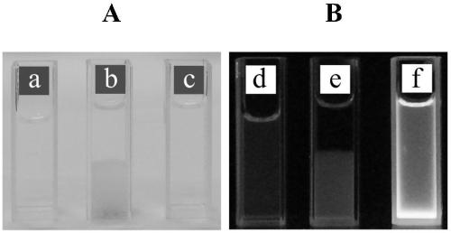 Carboxylated chitosan-dithiothreitol-gold nanoclusters and preparation method thereof