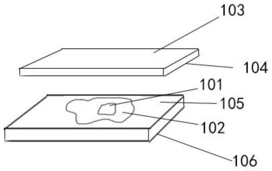 Multi-layer automatic focusing method and system