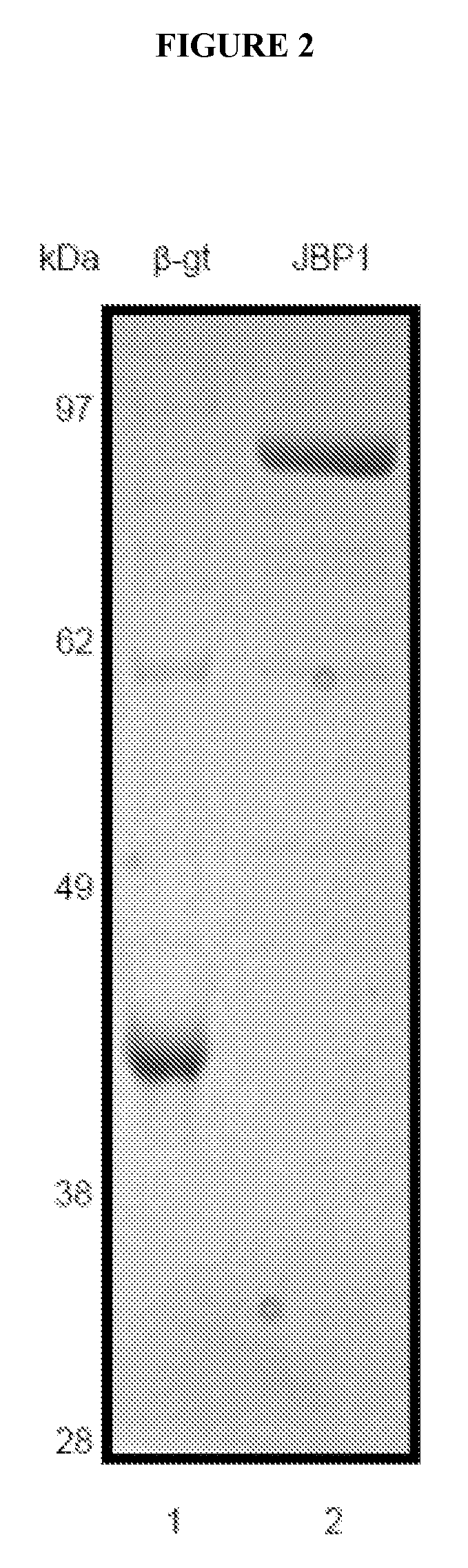 Methods and kits for detection of 5-hydroxymethylcytosine