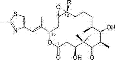 Method for preparing epothilone by inducing sorangium cellulosum expression
