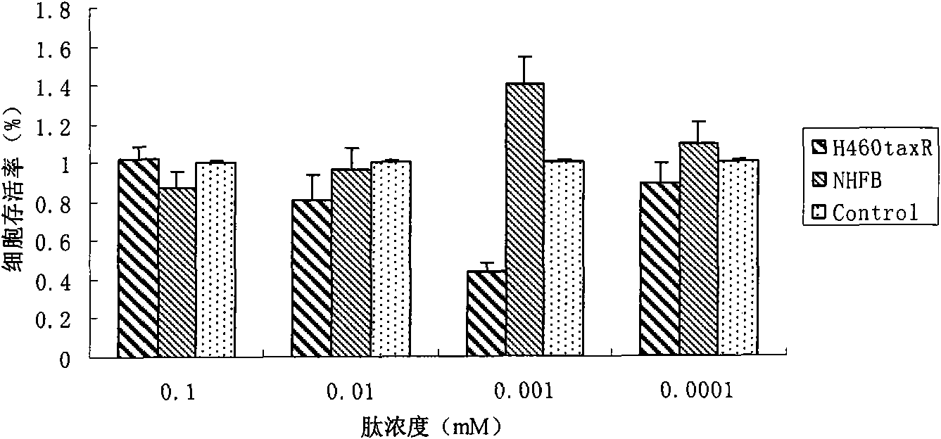 Small peptide C with antibacterial and antitumor functions and applications thereof