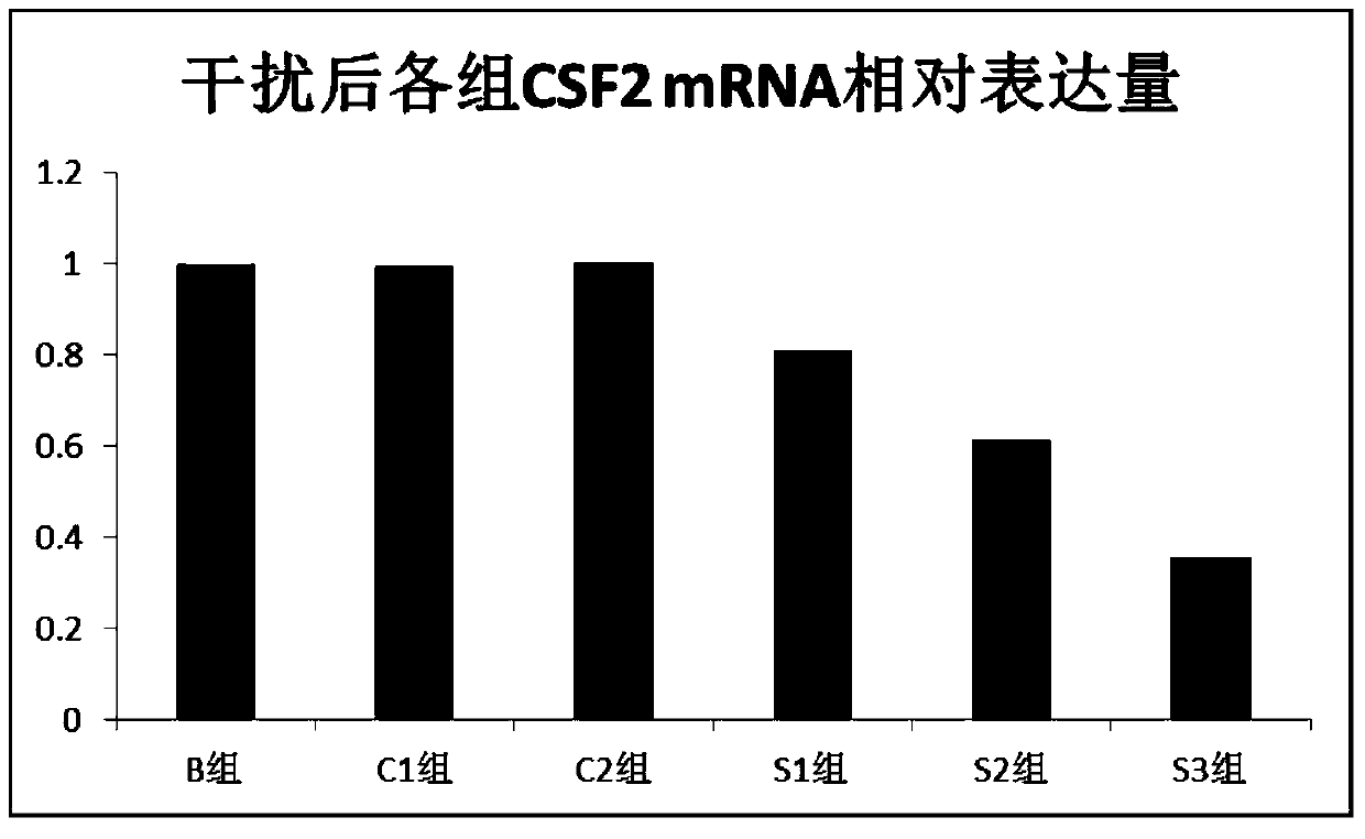 New application of csf2 gene and its expression product