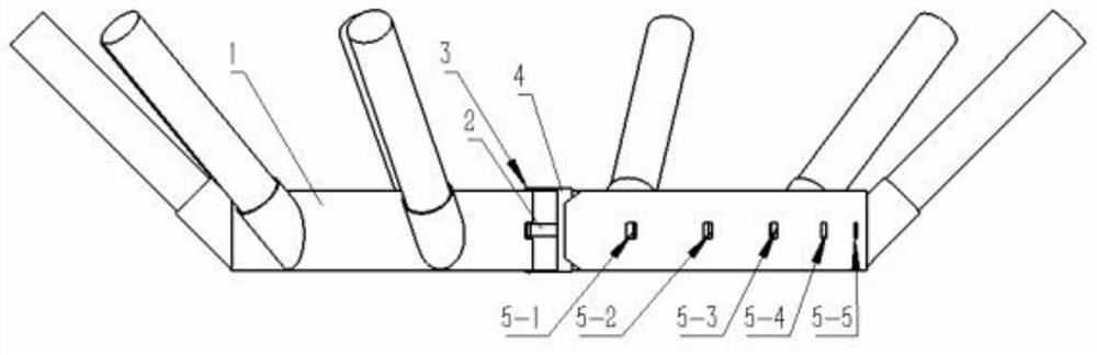 Automatic device for catching golden cicada