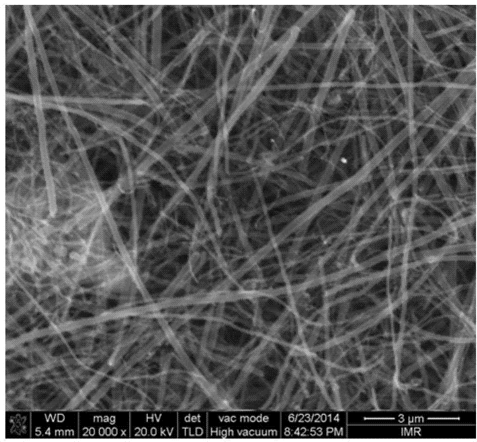 Carbon nano fiber paper and preparation method thereof