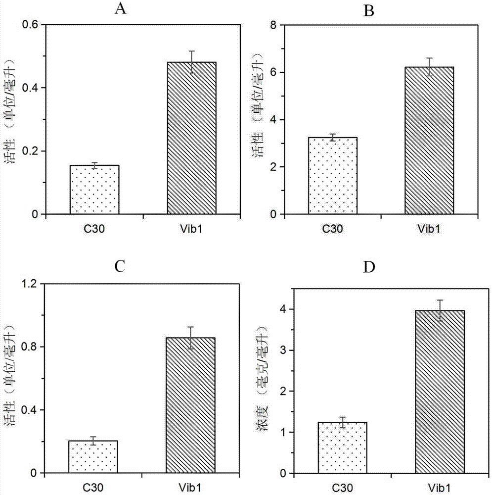 Trichoderma reesei recombinant strain capable of highly producing cellulase and application thereof
