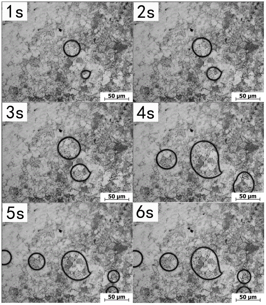 Method for recording and observing corrosion behavior of magnesium alloy microstructure in situ