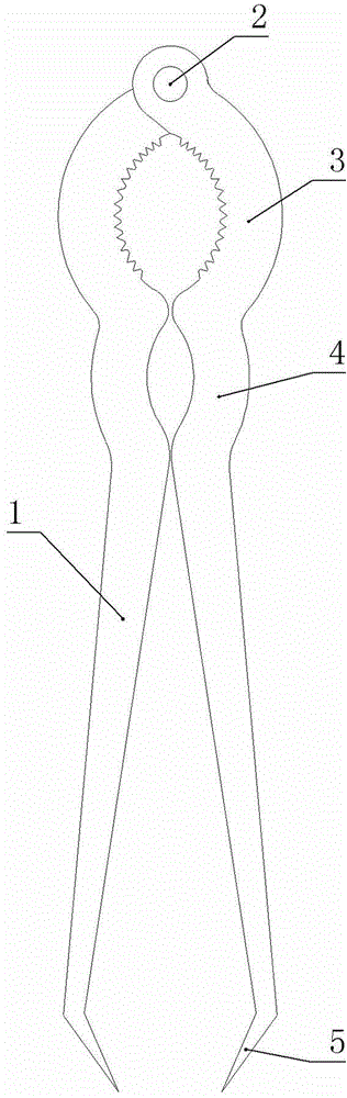 Multipurpose nut shell removing device