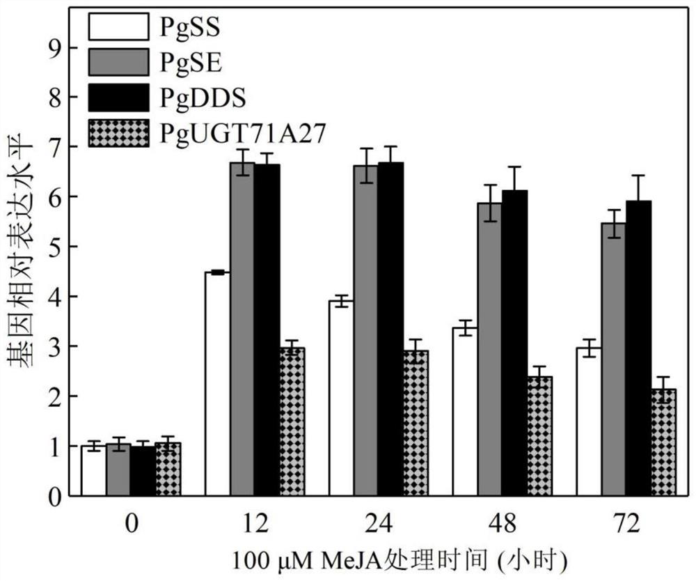 Ginsenoside synthesis-regulated PgJAR1 gene as well as encoding protein and application thereof