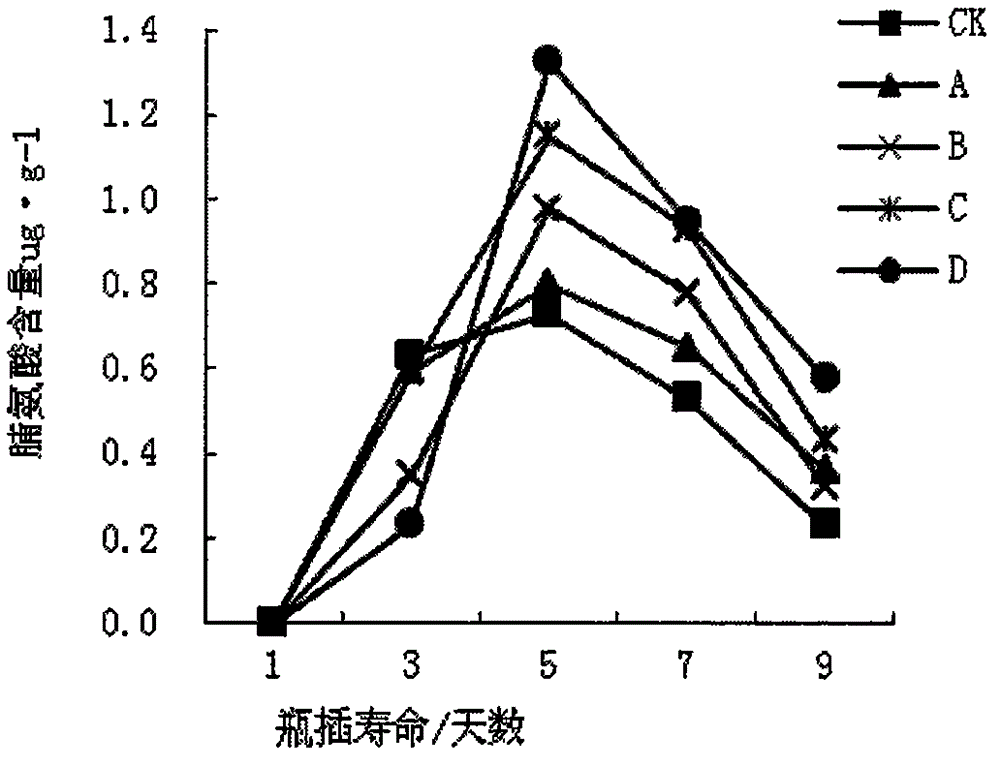 Cut lily preservative