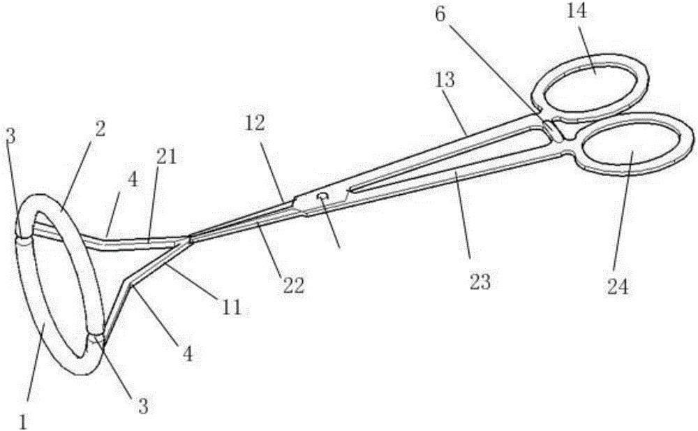 Testicular descent grasping forceps for cryptorchidism surgery