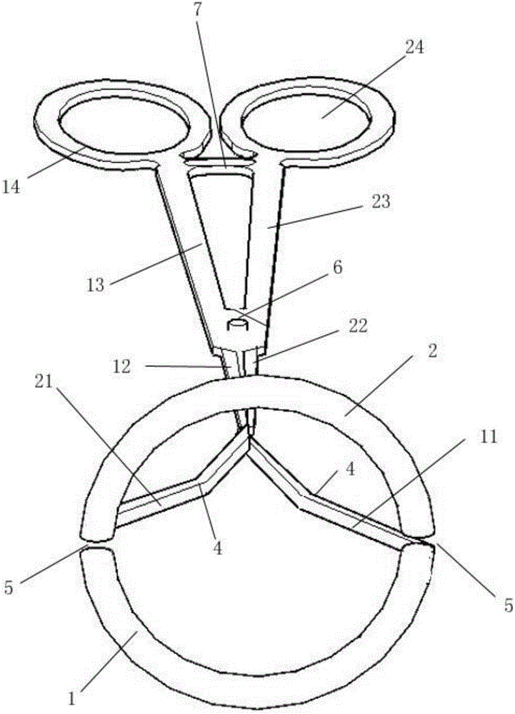 Testicular descent grasping forceps for cryptorchidism surgery