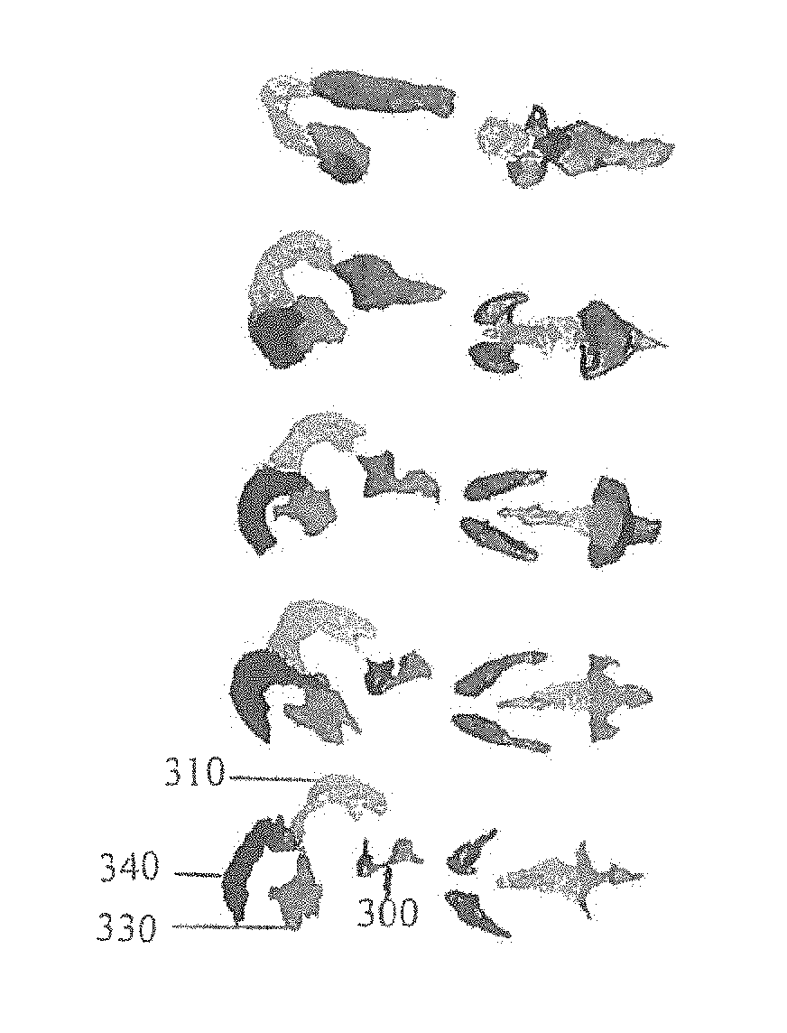 Method for gestational age estimation and embryonic mutant detection