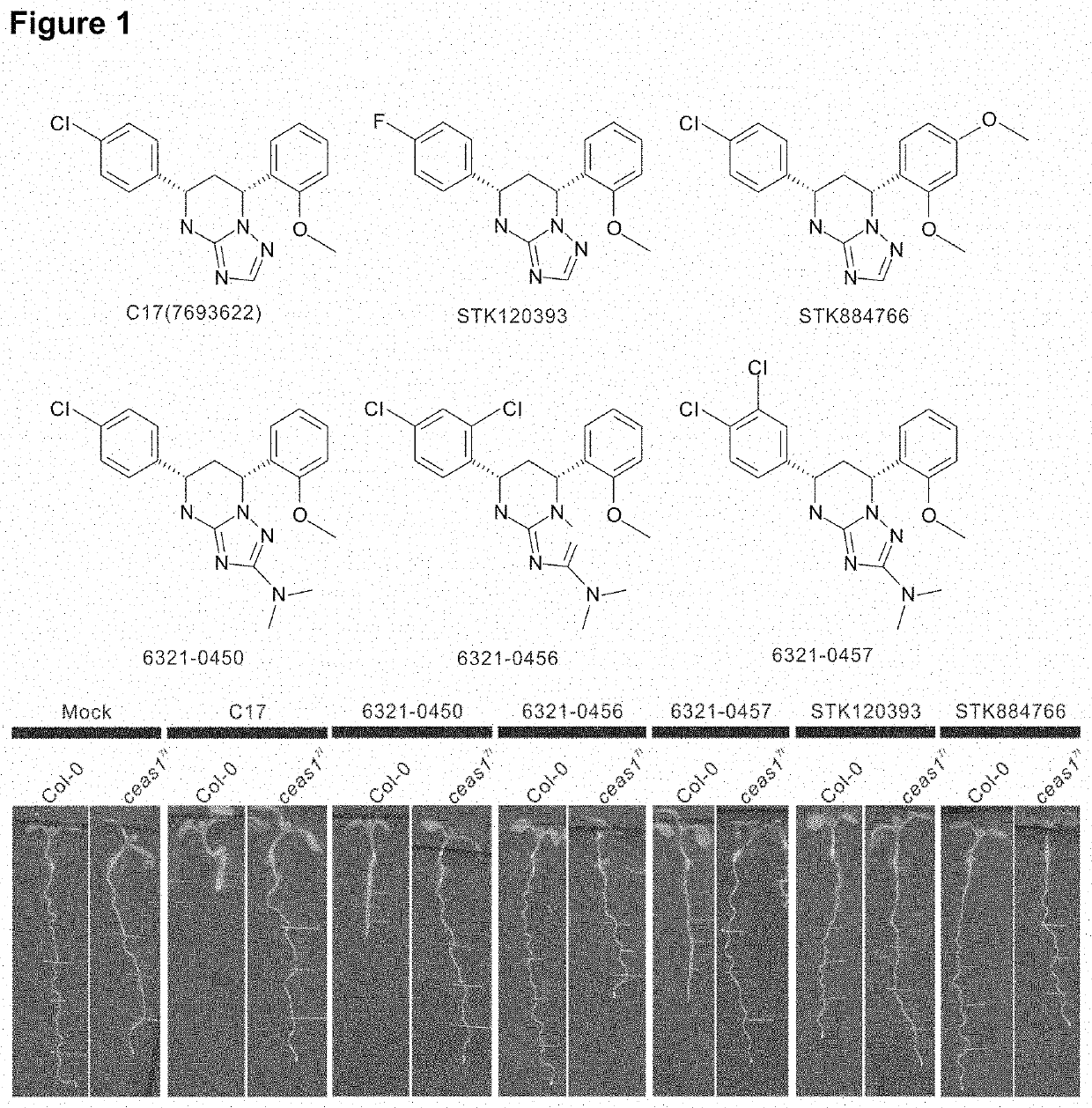 Cellulose synthase inhibitors and mutant plants