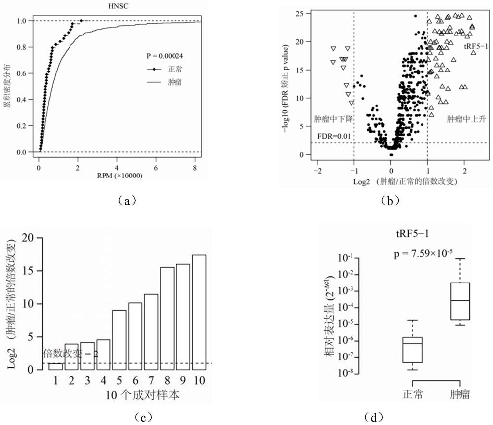 A novel molecular marker and its application in the preparation of kits for the diagnosis and prognosis of head and neck cancer