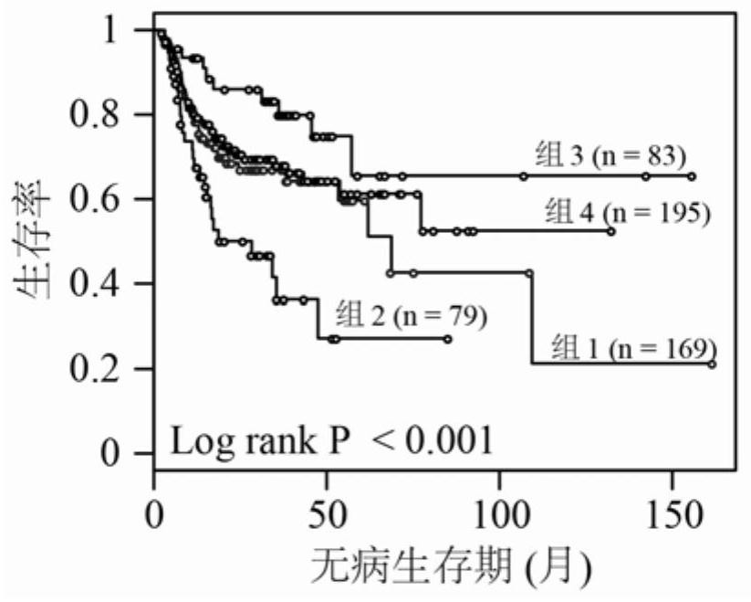 A novel molecular marker and its application in the preparation of kits for the diagnosis and prognosis of head and neck cancer