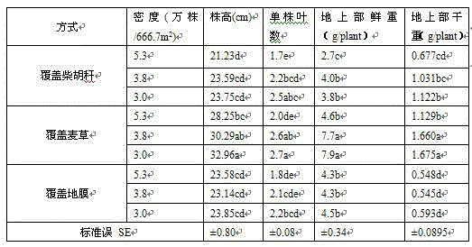 Cultivation method capable of preventing Angelica sinensis from premature bolting