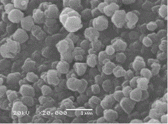 Preparation method for small-grain Y type molecular sieve