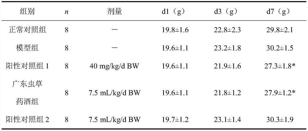 Cordyceps guangdongensis medicinal liquor capable of reducing uric acid and brewing method and application of Cordyceps guangdongensis medicinal liquor