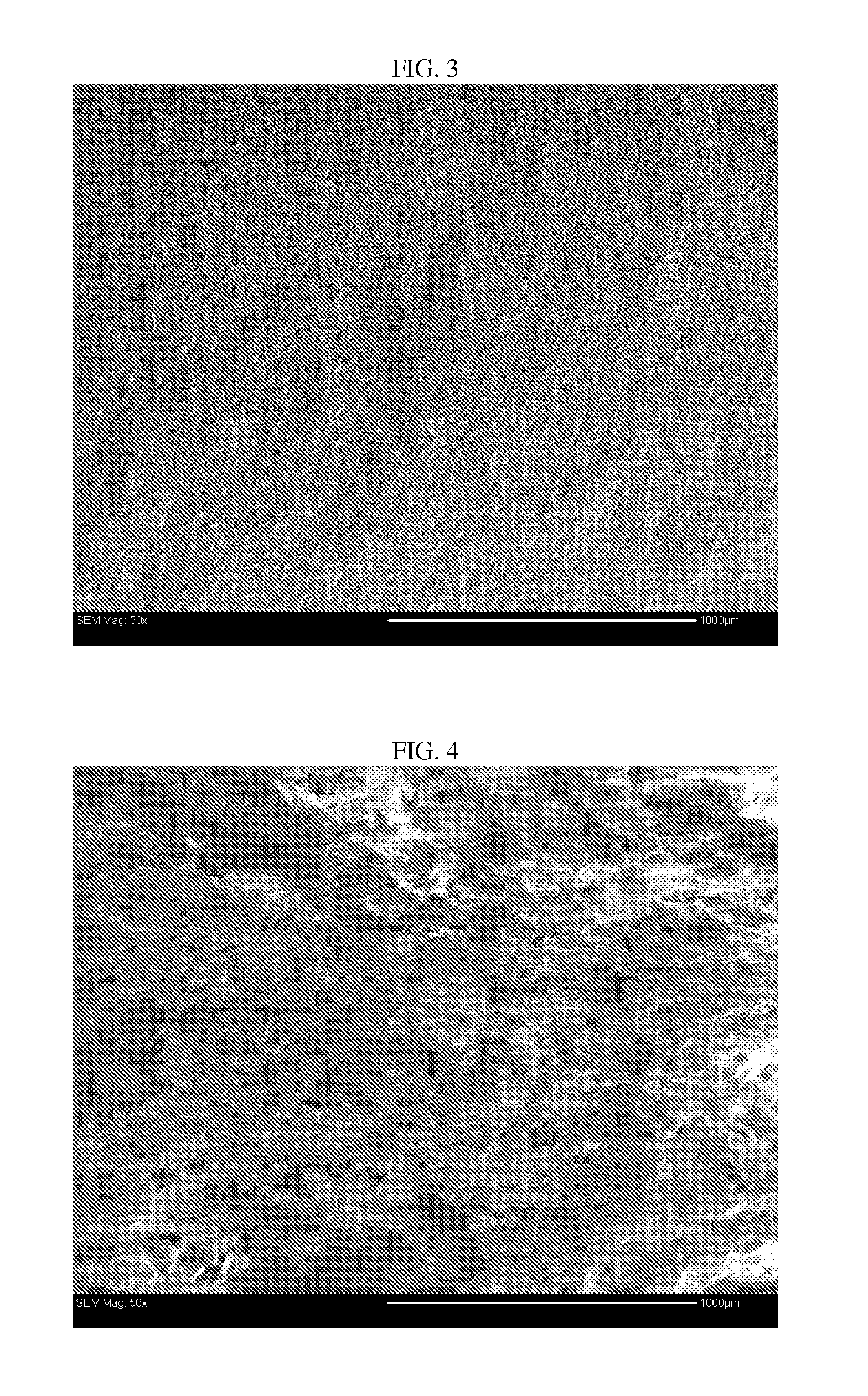 Bioceramic and biopolymer composite