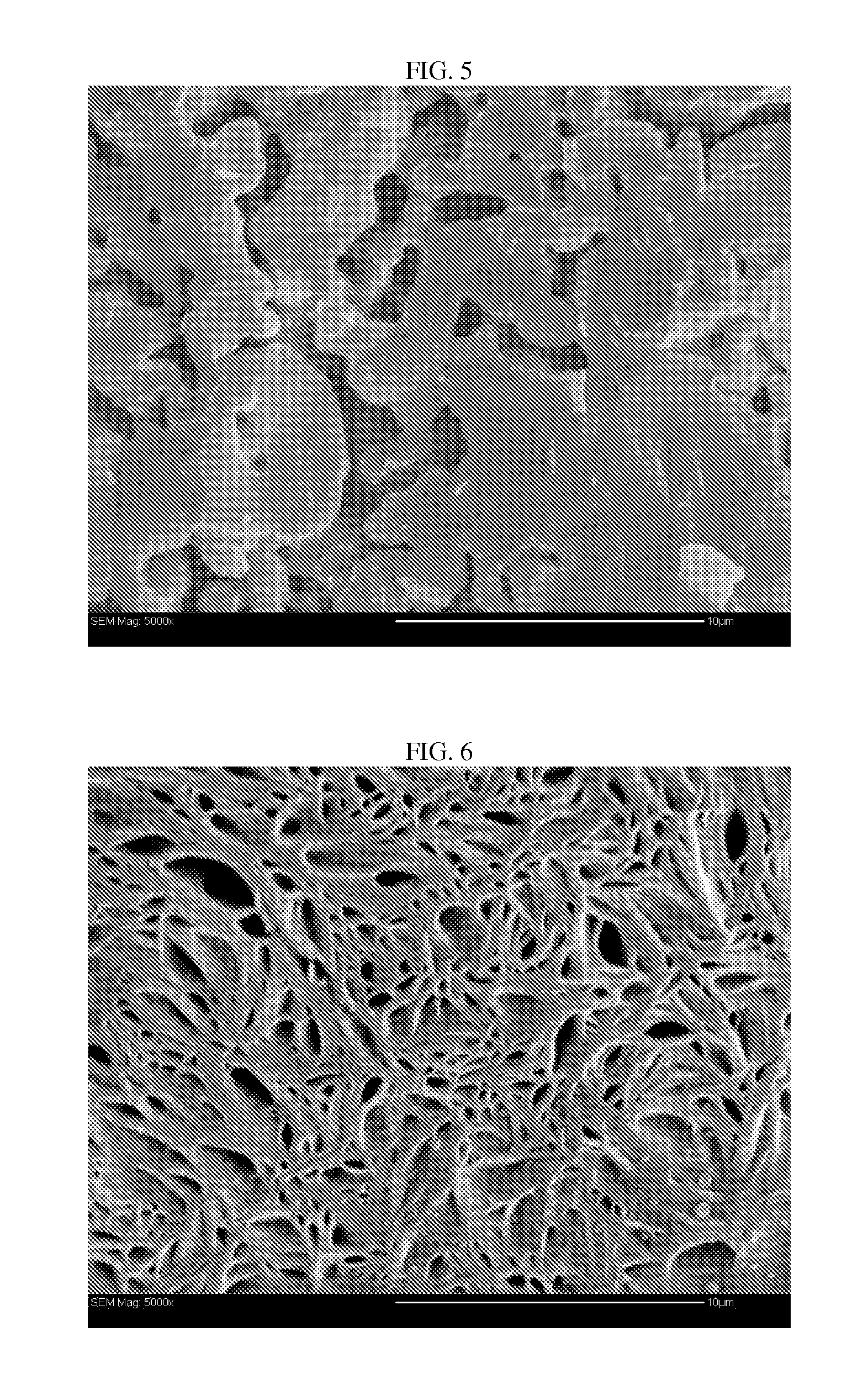 Bioceramic and biopolymer composite