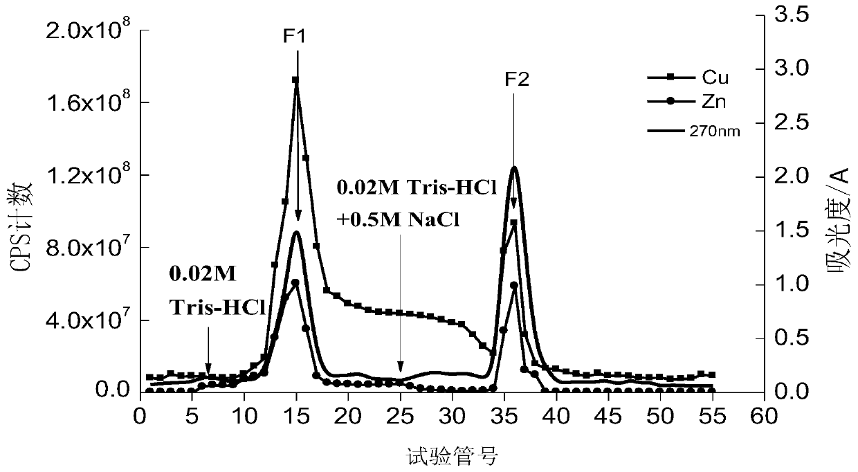 Method for extracting high-purity metallothionein (MT) from oratosquilla oratoria