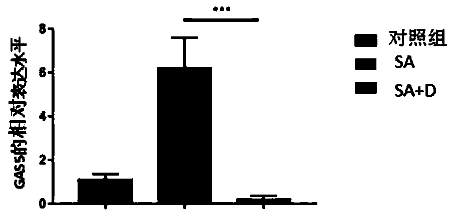 Application of GAS5 (growth arrest specific 5) in diagnosis of severe asthma