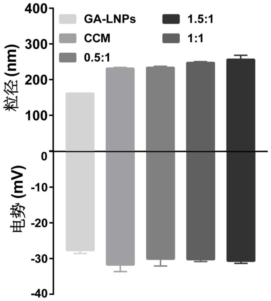 Cancer cell membrane-coated drug-loaded lignin nanoparticles as well as preparation method and application thereof