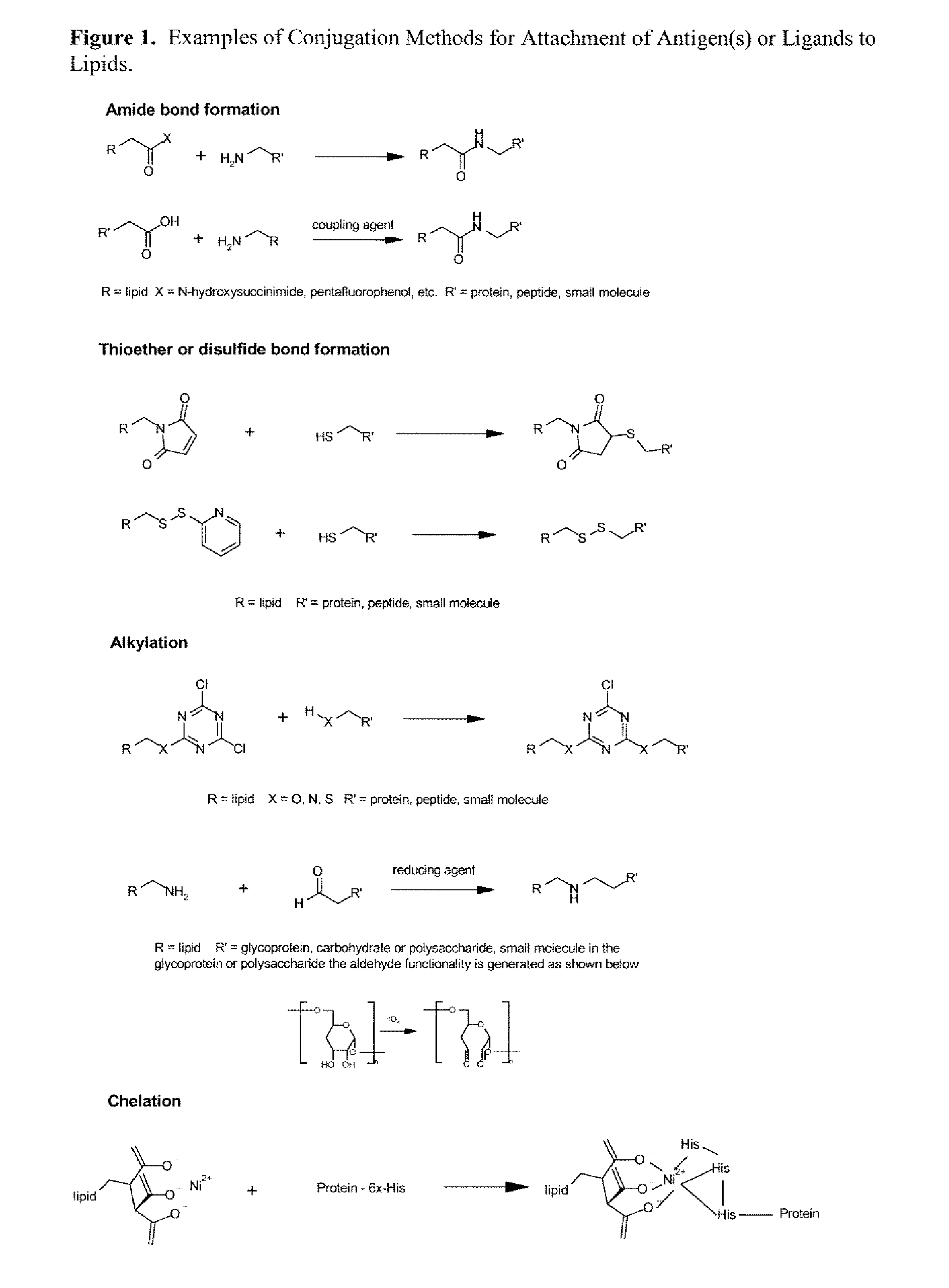 Nanoparticle adjuvants for sub-unit vaccines