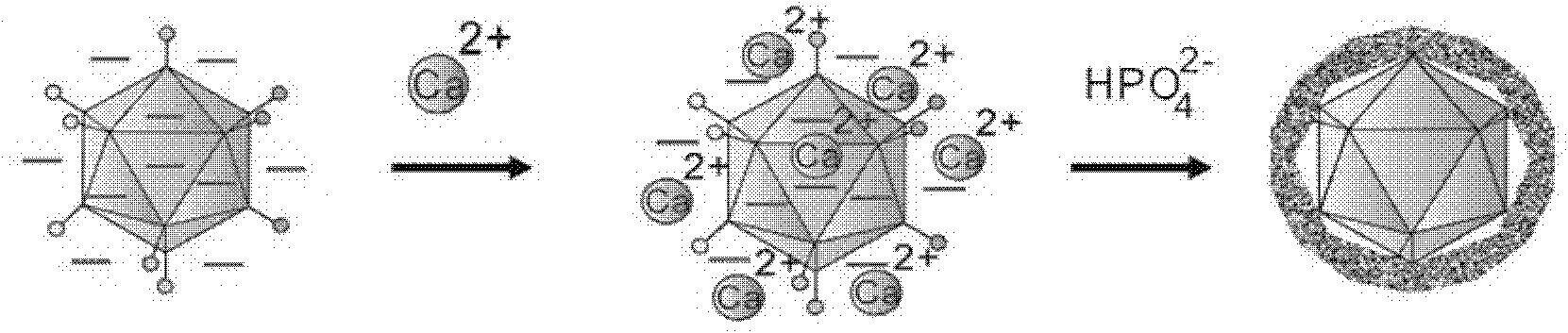 Virus with surface modified with calcium phosphate and preparing method of virus