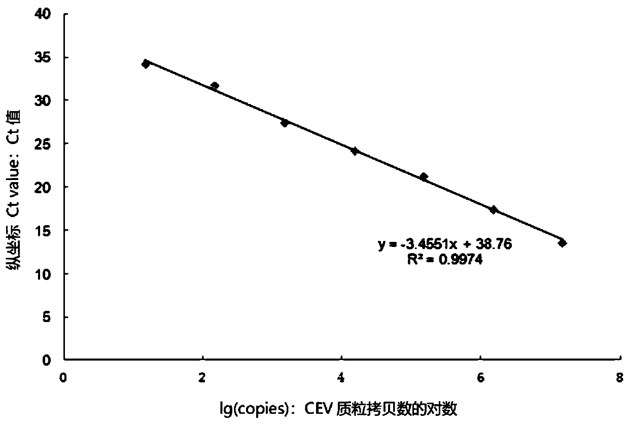Dual real-time fluorescence quantitative detection method for CEV (carp edema virus) and KHV (Koi herpesvirus)