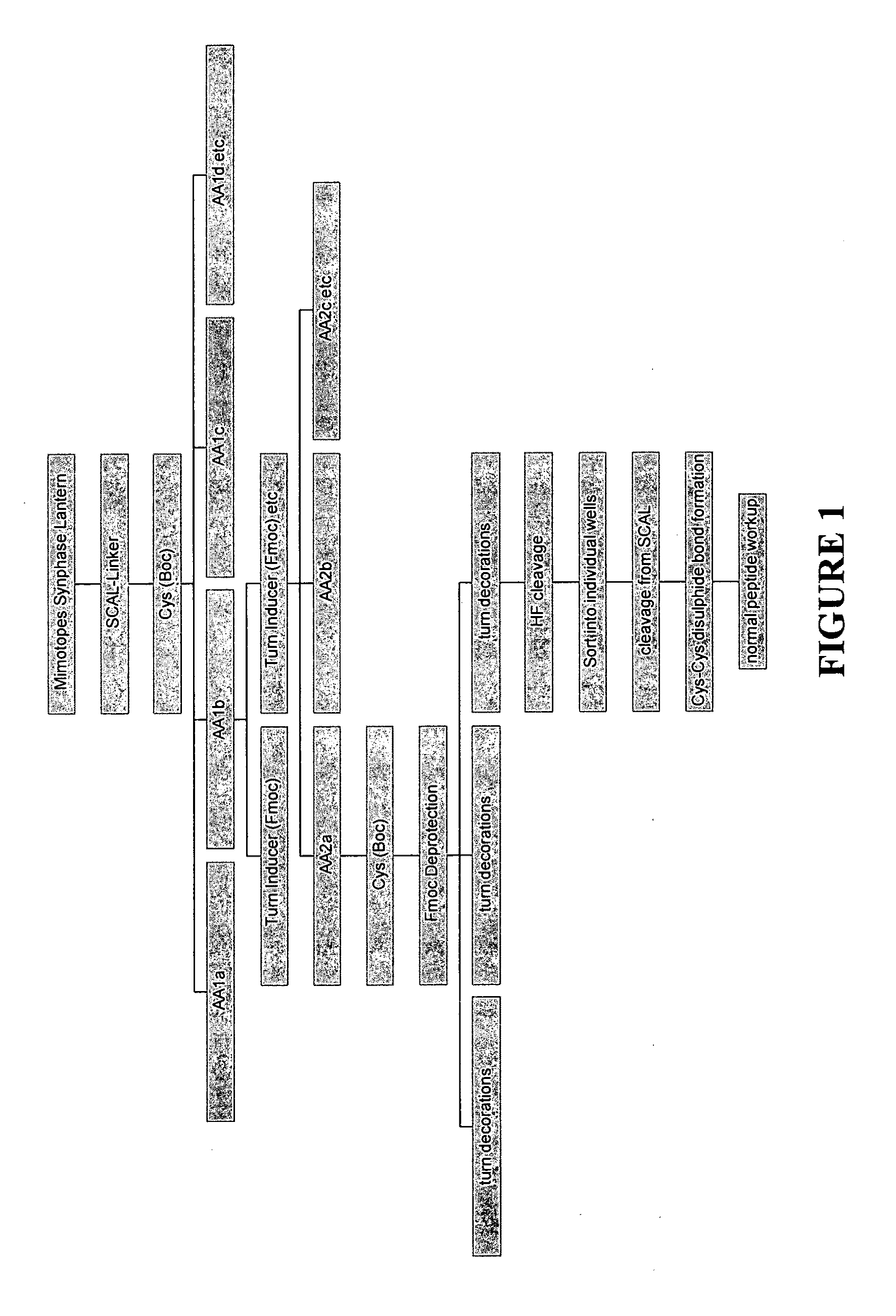 Libraries of peptide conjugates and methods for making them