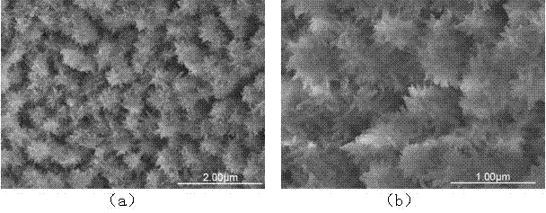 Electrochemical method for preparing hydroxyapatite dendritic micro nano composite coating on surface of metallic titanium