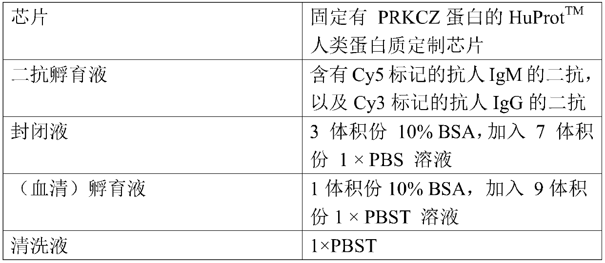 Application of PRKCZ autoantibody detection reagent in preparation of lung cancer screening kit