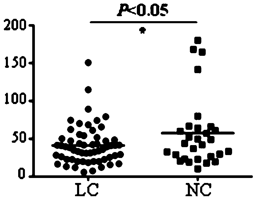 Application of PRKCZ autoantibody detection reagent in preparation of lung cancer screening kit